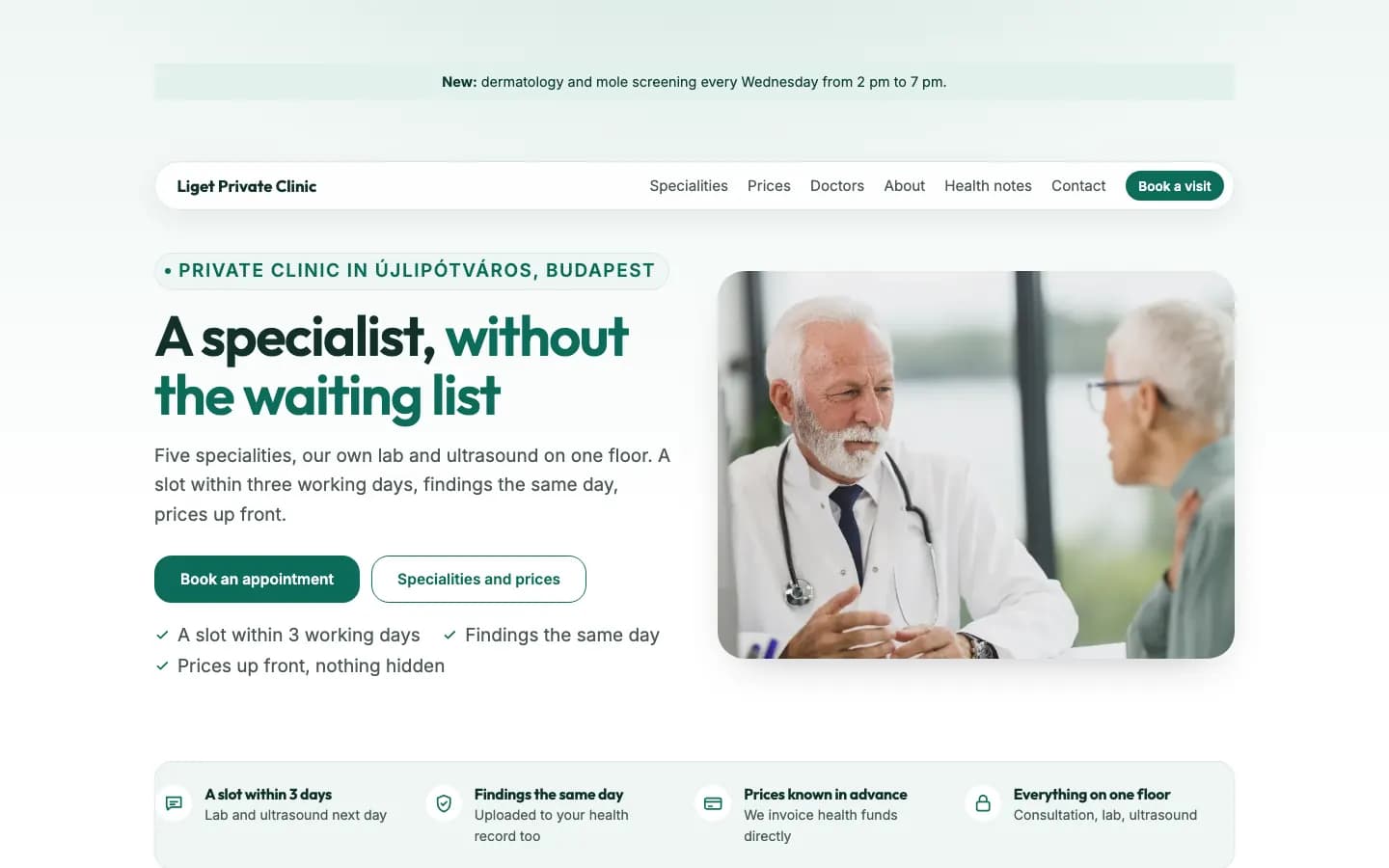 The private clinic theme's home page, as a visitor sees it