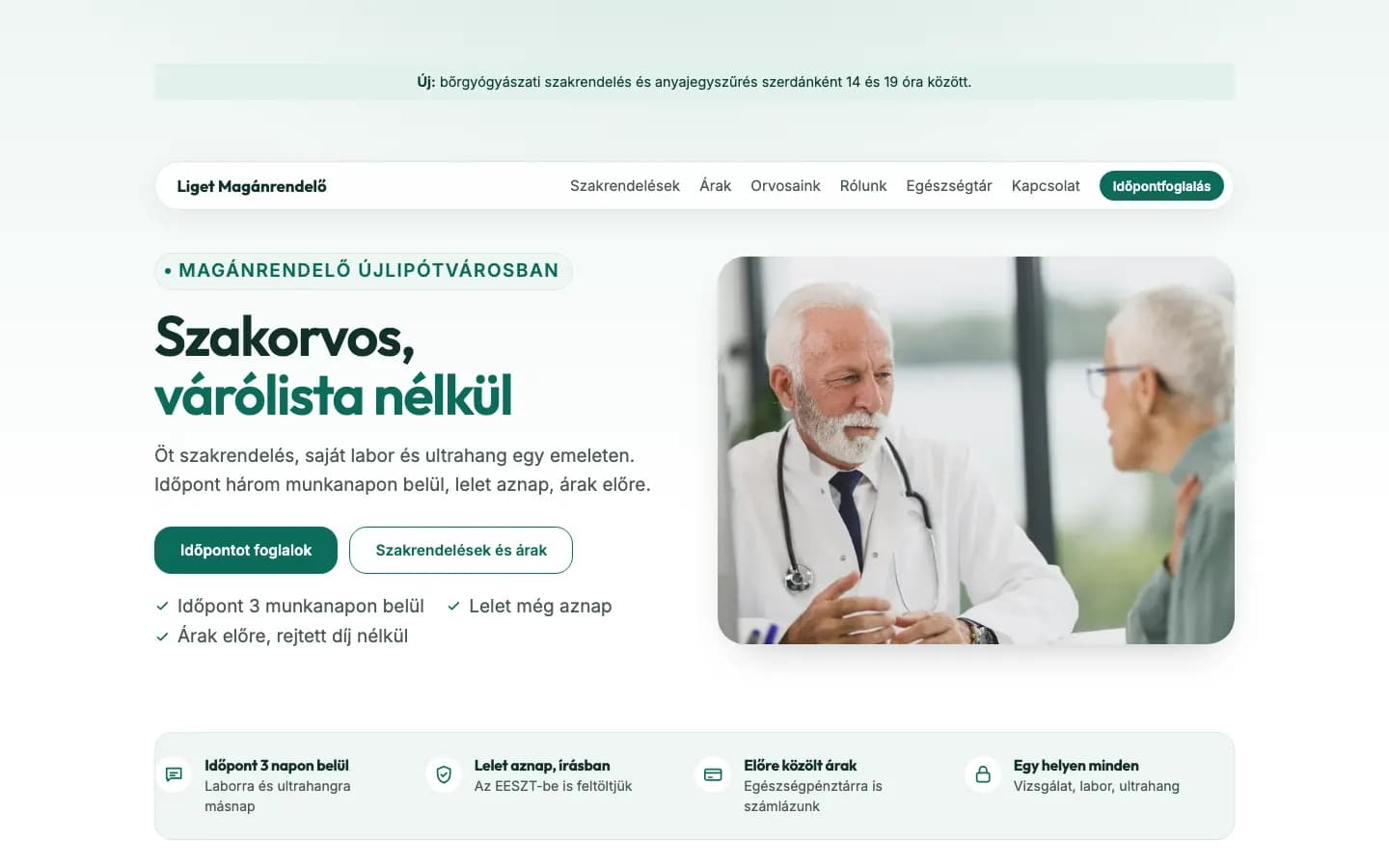 A magánrendelő sablon kezdőlapja, ahogy a látogató látja